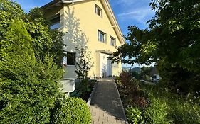 Villa Modern